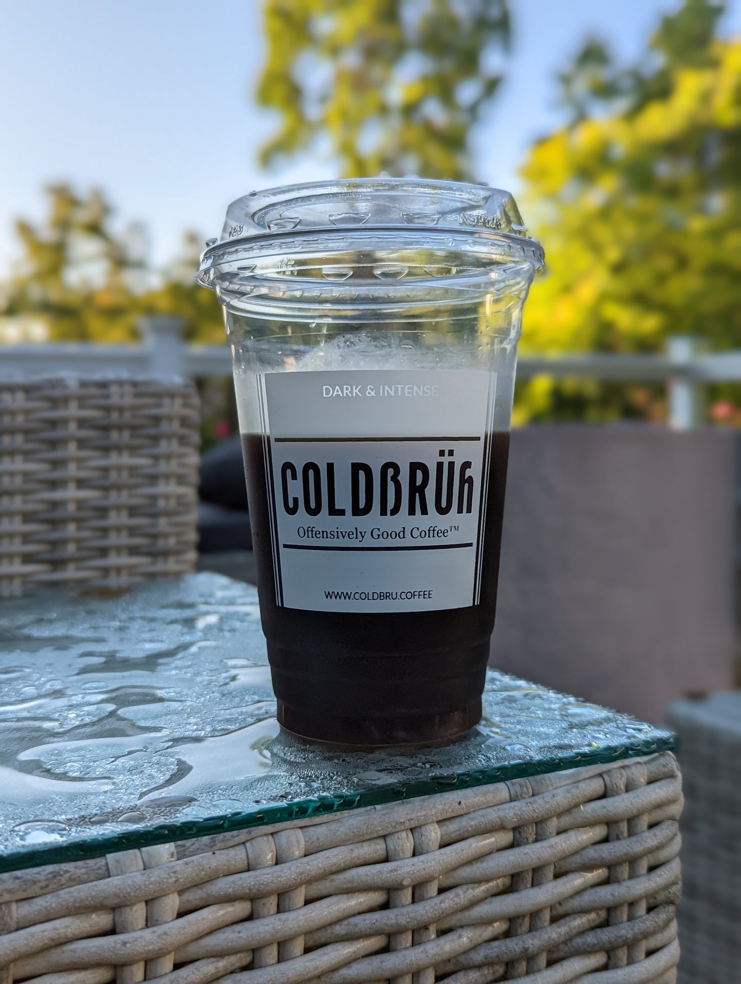 Single 18 oz Pouch Signature Dark Roast Cold Brew with Travel Cup